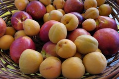 Caro prezzi: i consumatori tagliano gli acquisti di frutta e verdura