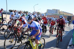 Coppa Città di Bisceglie, l'Andria Bike si mette in luce con ottimi risultati