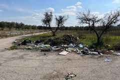 Ecocidio, denuncia di Coldiretti Puglia: "ad Andria rifiuti di ogni genere vengono abbandonati negli oliveti"