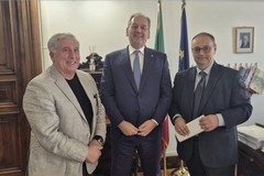 Cia e Italia Olivicola: "Settore olivicolo sotto attacco delle speculazioni"