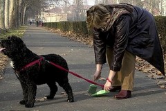 Deiezioni canine: i cittadini chiedono interventi più incisivi al Sindaco di Andria
