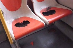 Autobus del servizio urbano di Andria devastati a Cerignola dai tifosi del Benevento