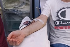 Emergenza sangue in Puglia: protocollo d'intesa tra Avis, Fidas, Fratres e Anci Puglia