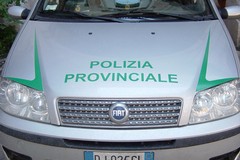 Regione: finalmente verso la piena operatività 80 guardie ambientali, già dipendenti della Polizia provinciale