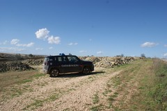 Truffa dei pascoli tra le province Bat e Bari: Carabinieri forestali sequestrano 400mila euro