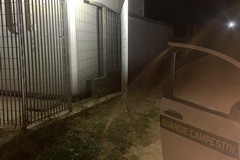 Le Guardie Campestri di Andria sventano furto all’interno di un campo fotovoltaico