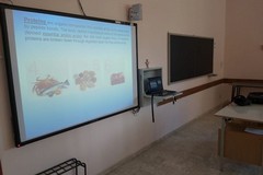CislScuola: «La didattica rimane in vacanza? Storia breve del Liceo “Carlo Troya” di Andria»