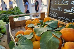 Secondo appuntamento di Mercato Contadino della città di Andria, con il cibo sano e sostenibile