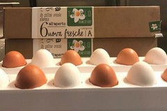Nuovo appuntamento con "porta un tuorlo a tavola" di Biancofiore