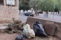 Nuovo intervento di pulizia nella pineta comunale da parte dell'Associazione 3Place