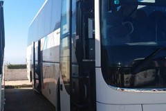 Novità alla VI edizione "Camminata tra gli Olivi", bus navetta per raggiungere la manifestazione