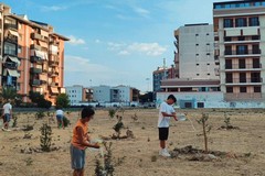 3Place per il Bosco Urbano di Andria