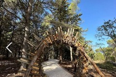 Rubati cavi elettrici nella pineta di Castel del Monte, danno da 30mila euro