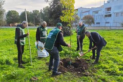 Festa dell’Albero: manifestazione di Fareambiente alla Scuola "Dante Alighieri" di Andria