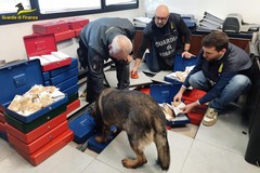 Primo bilancio delle Fiamme Gialle nella lotta alla contraffazione e tutela del Made in Italy