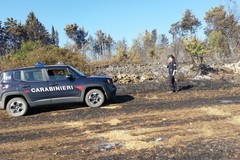Antincendio boschivo: anche ad Andria i Carabinieri forestali effettuano controlli sulle aree protette