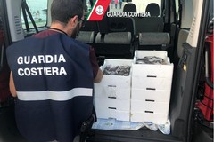 Guardia costiera: controlli in tutta la Bat