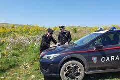 I Carabinieri forestali pronti per la campagna contro gli incendi boschivi per la stagione 2024 in Puglia