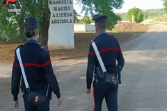 Confiscati definitivamente ad Andria dai Carabinieri beni per 80 milioni di euro