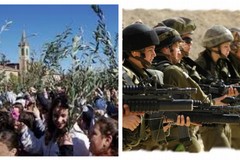 Domenica delle Palme: ulivi di pace tra armi di guerra