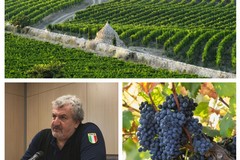 Per il vino Primitivo scoppia la "guerra" tra Puglia e Sicilia