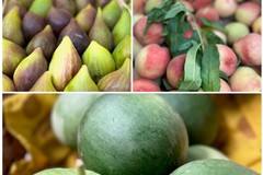 Caldo e mare: ecco la top ten dei cibi che abbronzano