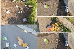 Zona PIP invasa dai rifiuti delle attività della ristorazione presenti in via Trani