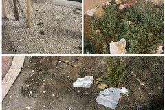 Tra rifiuti e deiezioni canine, ecco come appaiono i giardinetti di piazza Bersaglieri