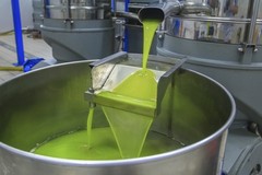 Salute: Olio extravergine alleato di sport e dieta, può aiutare a “bruciare i grassi” se usato nel modo giusto