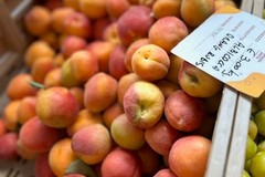 Nelle scuole solo l'8,5% degli studenti consuma abbastanza frutta e verdura