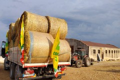 Incendi: gara di solidarietà per un giovane allevatore. Donato foraggio da aziende agricole e zootecniche