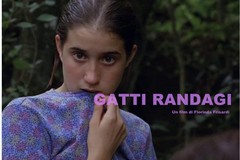 "Gatti Randagi" il mediometraggio di Florinda Frisardi presentato all'Officina San Domenico ad Andria