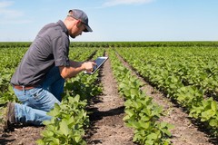 Servizio Civile Universale ambientale: al via anche per il settore agricolo