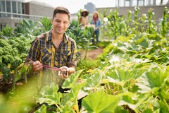 Aiuti all’avviamento di imprese per i giovani agricoltori