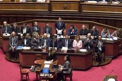 Crisi di governo, Cia Puglia: “Tutto azzerato e l’agricoltura muore”