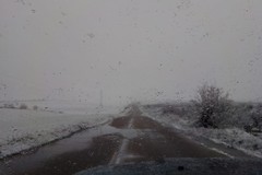 Nevica in Puglia sugli uliveti e sui mandorli fioriti: forti raffiche di vento gelido sferzano alberi e campagne