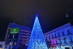 La Festa dell'Accensione del grande Albero avvia il Natale di Andria