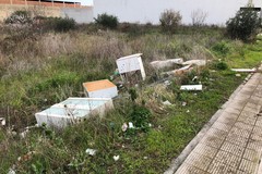 Ventola (DIt): "Emergenza rifiuti nei Comuni del Bacino FG4, tra cui San Ferdinando, Trinitapoli e Margherita"
