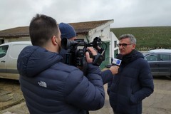 Rifiuti, Troia (Verdi): "Necessario passaggio da Tassa a Tariffa"