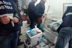 Prodotti ittici posti sotto sequestro dalla Guardia Costiera nella Bat: non erano sicuri e garantiti