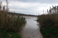 Agricoltura: la pioggia salva i raccolti, ma c’è rischio di grandine e gelo