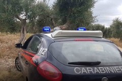 Festa dell'Arma dei Carabinieri: 4 militari del Comando provinciale di Bari premiati per operazione anti crimine svolta ad Andria