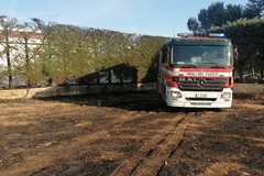 Incendio di sterpaglie rischia di mandare in fumo villa su via vecchia Spinazzola: decisivo intervento dei Vigili del fuoco