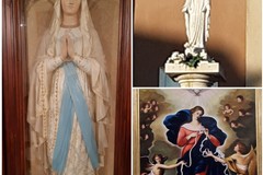 8 dicembre, Immacolata Concezione: Sante messe in Cattedrale ad Andria