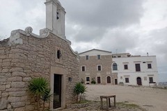 Incursione nella notte di alcuni lupi alla masseria San Vittore: sbranate quattro capre