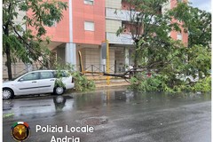 Interventi ad Andria della Polizia Locale per la sicurezza urbana