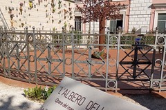 Cimitero di Andria, ecco l'Albero della Vita presso l'ossario comune