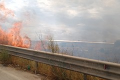 Ad Andria grosso incendio di sterpaglie a ridosso della tangenziale