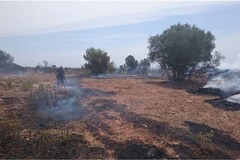 Polizia Locale di Andria, prevenzione incendi: scattano gli obblighi per i proprietari di terreni