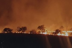 Ancora fiamme sulla Murgia: bruciano pascoli ed arborati tra Andria e Minervino murge